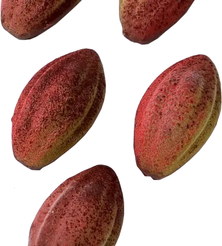 Trompe-l'œil Cabosse cacao