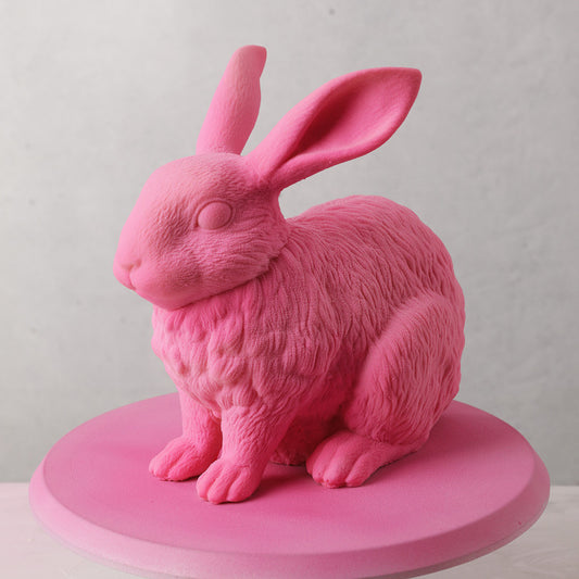 Minigateaux Lapin