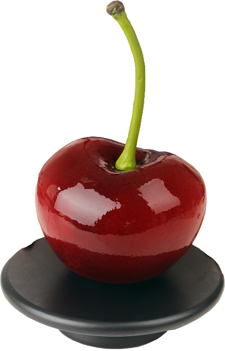 Minigateaux Fruit Cerise